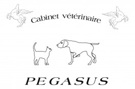 Lausanne Nord Academy_Cabinet vétérinaire Pegasus