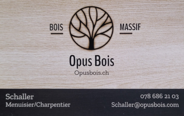 Prangins Sport_Opus Bois