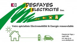 Vignoble_Desfayes Electricité Sàrl